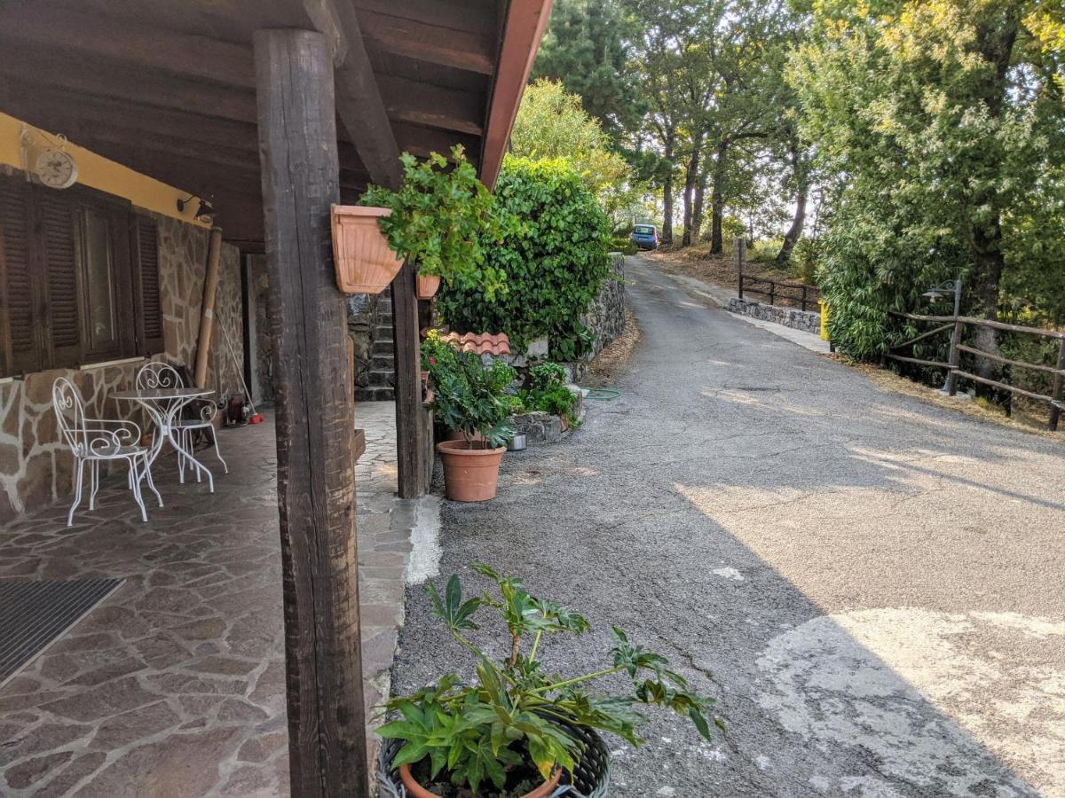 Il Rifugio Del Contadino Art & Nature Bosco  Exterior photo